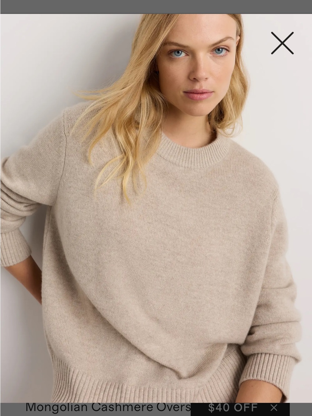 Quince Mongolian Cashmere oversized Sweater